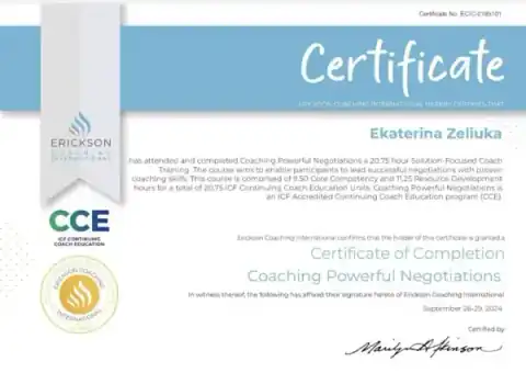 Сертификат 6